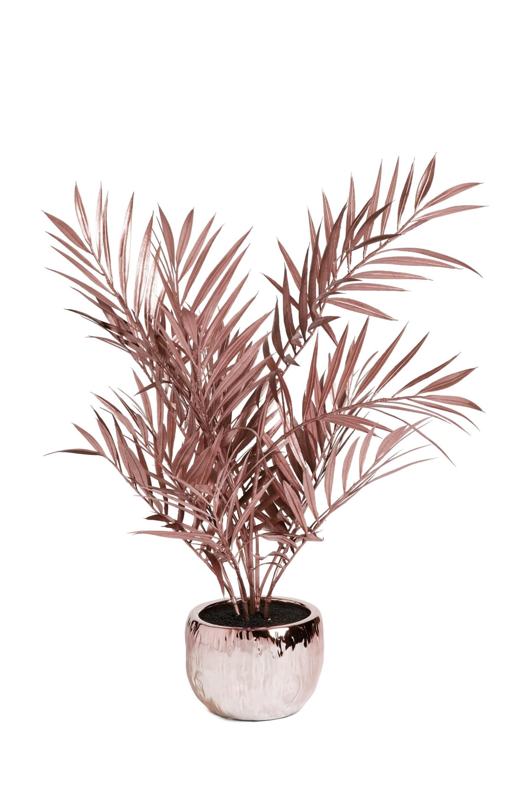 Kunstpflanze Schicke, auffällige Palme, Next