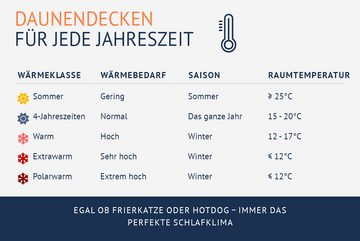 Daunenbettdecke, COMFORT Daunendecke, casimum, Füllung: 60% Daunen / 40% Federn, Bezug: 100% Baumwolle, hergestellt in Deutschland, allergikergeeignet, alle Wärmeklassen