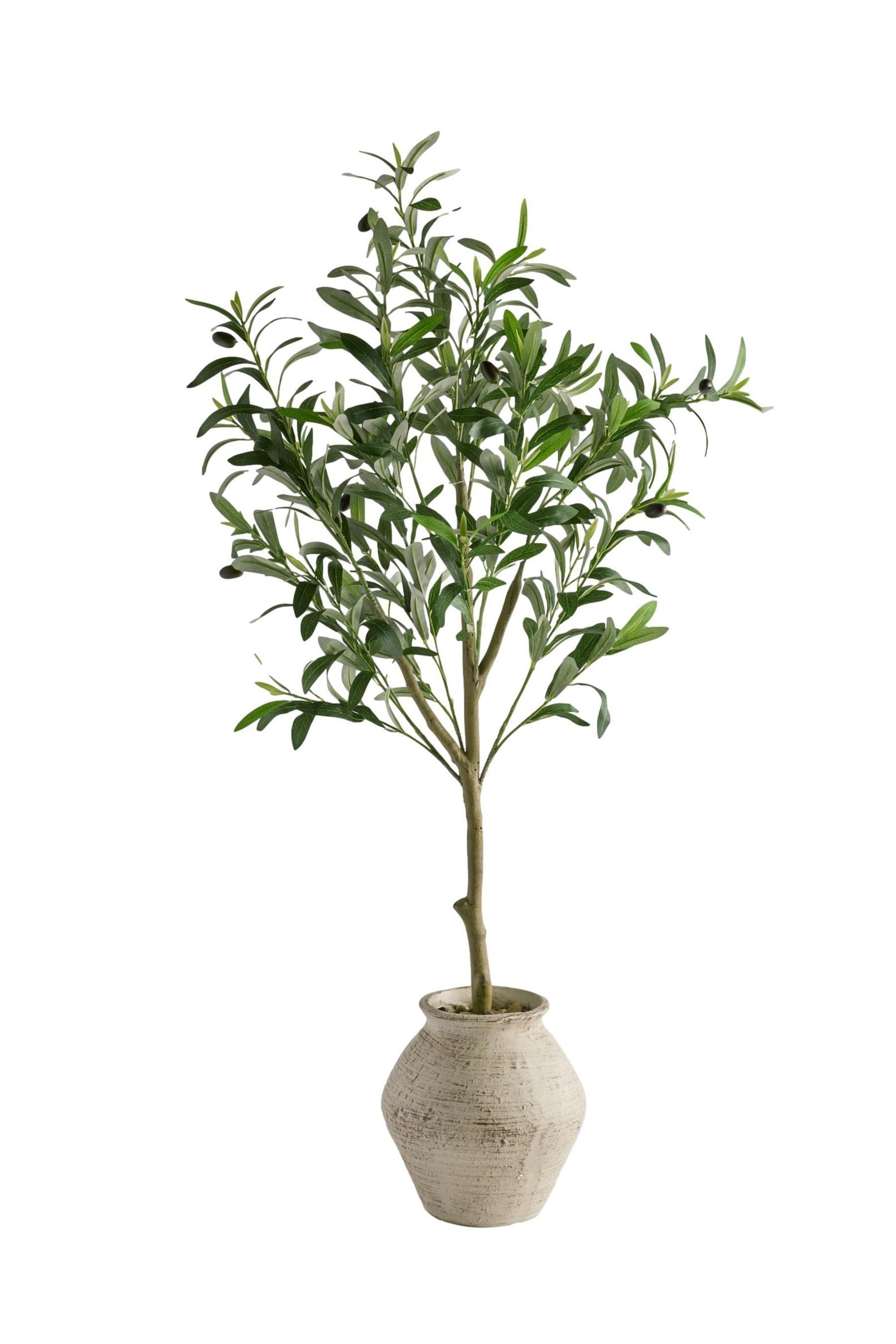 Kunstblume Künstlicher Olivenbaum im rustikalen Topf, Next