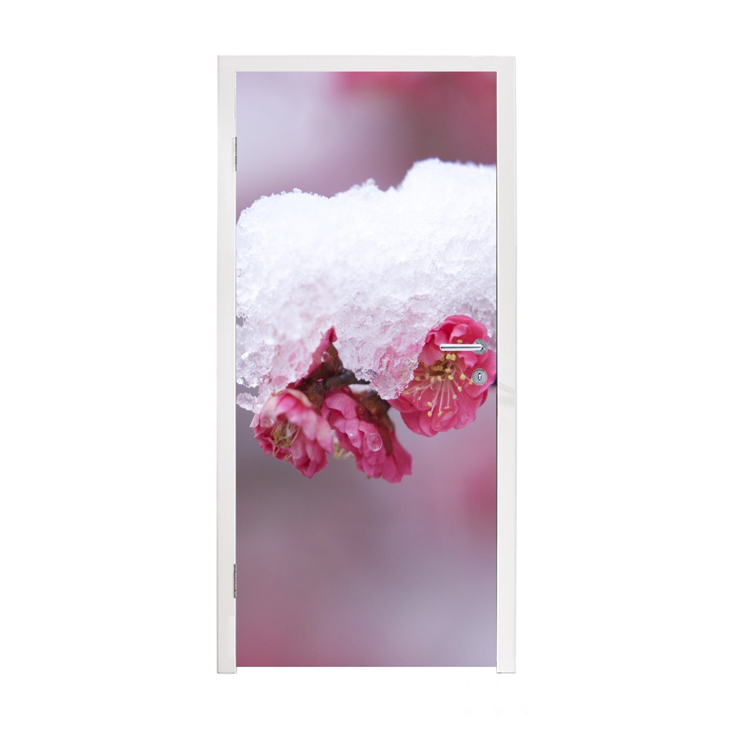 Matt, Winter, - Türtapete St), Fototapete cm Rosa (1 für Blume bedruckt, - 75x205 Tür, Türaufkleber, MuchoWow