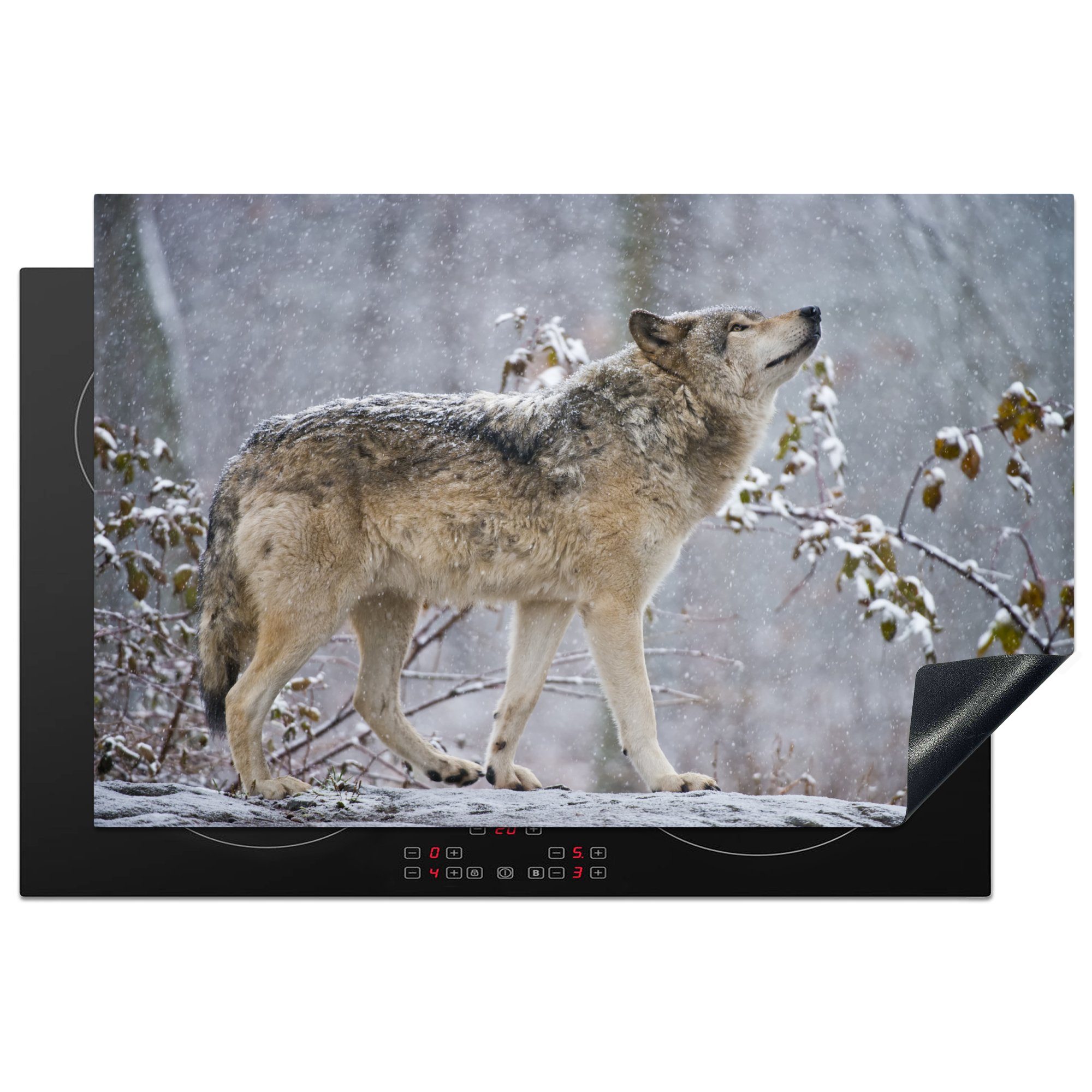 81x52 Winter Induktionskochfeld für Schnee, tlg), küche, (1 die Herdblende-/Abdeckplatte MuchoWow - Wolf Ceranfeldabdeckung - Schutz cm, Vinyl,