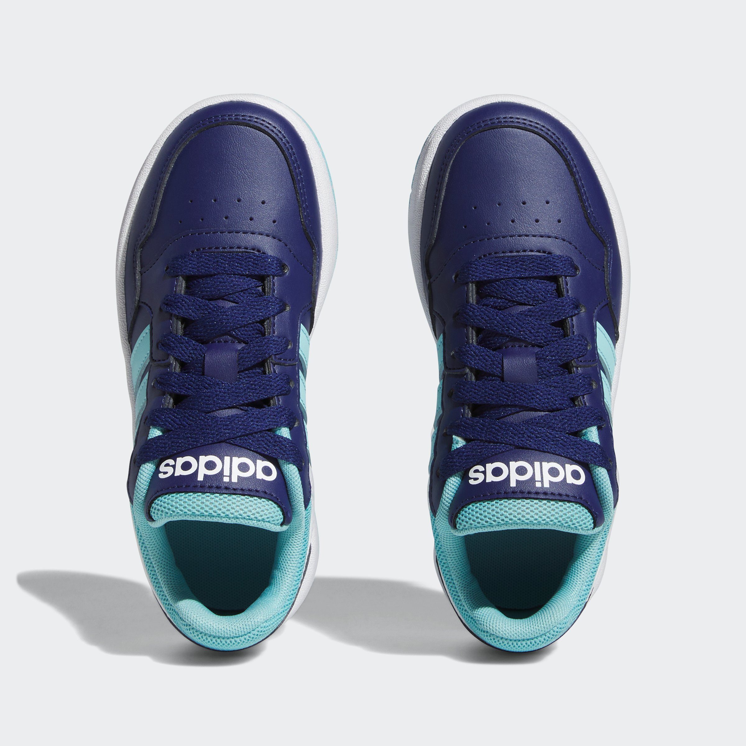 adidas Sportswear HOOPS Sneaker / Dark Cloud White / Blue Light Aqua