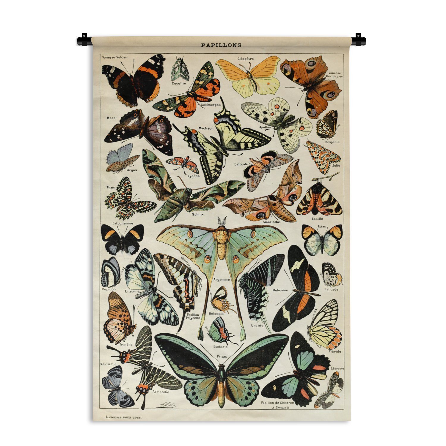 MuchoWow Wanddekoobjekt Adolphe Millot - Schmetterling - Tiere - Insekten - Vintage, Wanddeko für Wohnzimmer, Schlafzimmer, Kleid, Wandbehang, Kinderzimmer