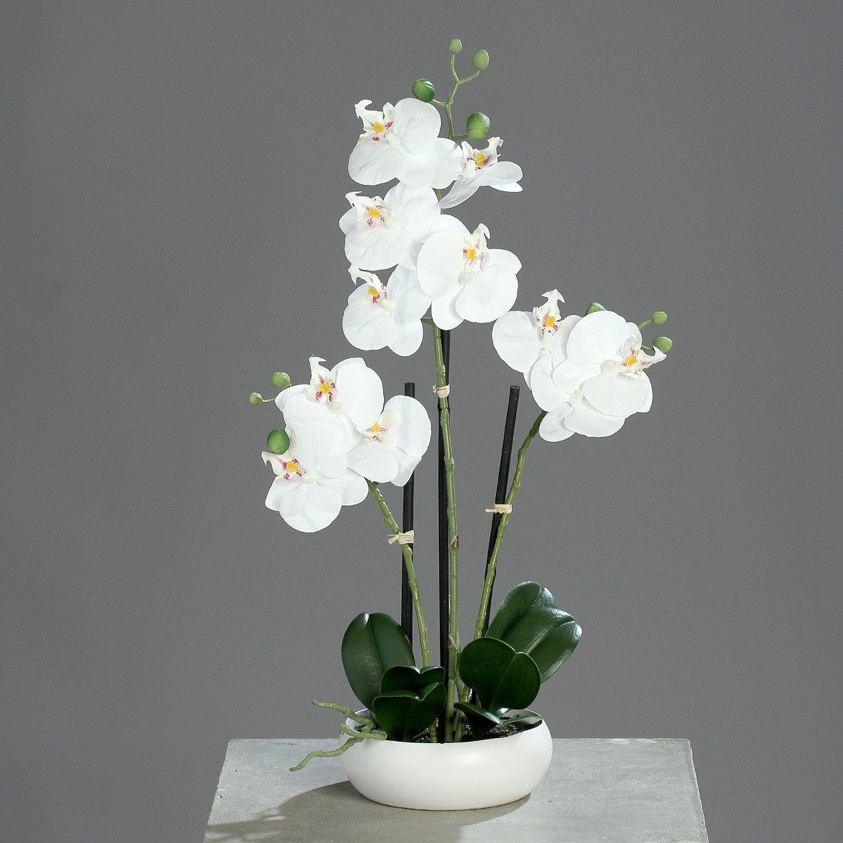 Kunstorchidee, DPI, Höhe 36 cm, Weiß H:36cm Kunststoff