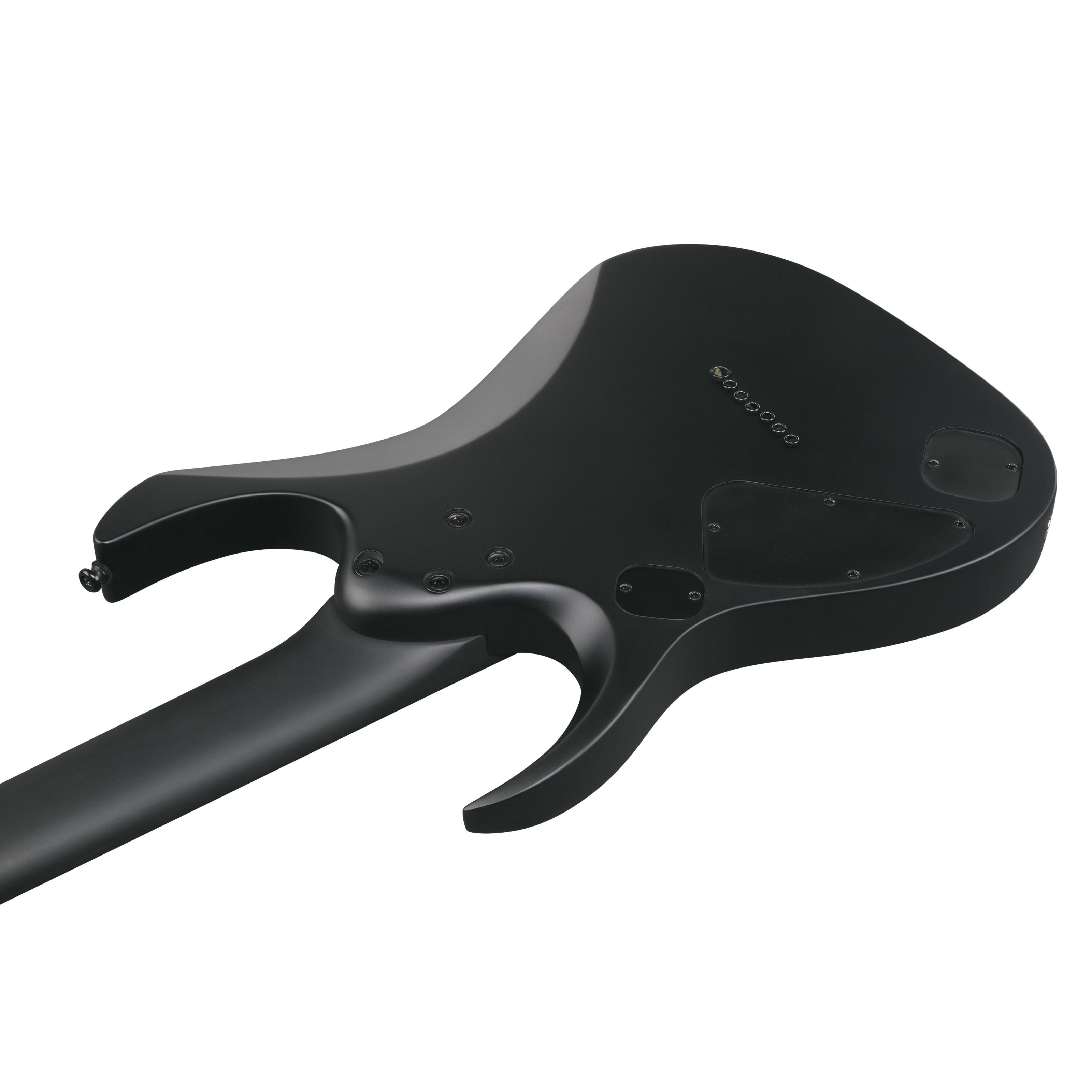 Ibanez E-Gitarre, E-Gitarren, Ibanez Modelle, Iron Label RGDRB71-BKF Black Flat - E-Gitarre