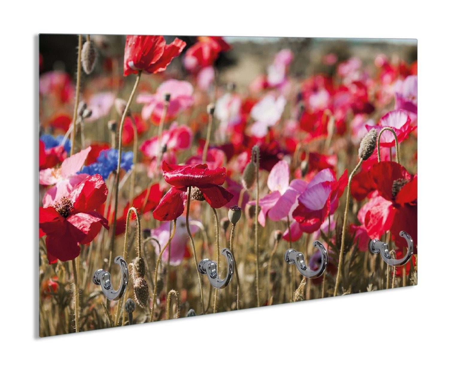 Wallario Schlüsselbrett Mohnblumen am Rande eines Feldes, (inkl ...
