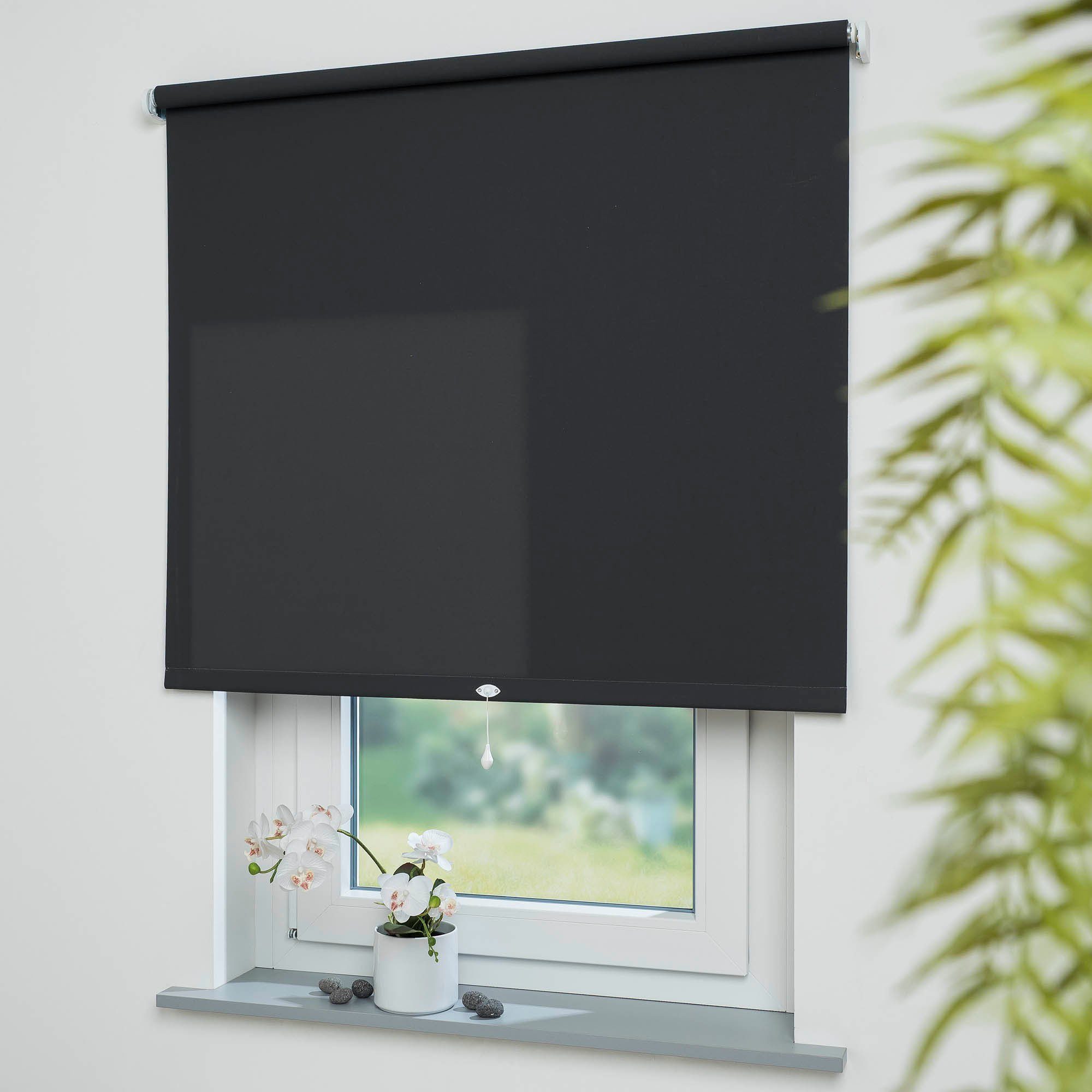 Springrollo Uni, Liedeco, Lichtschutz, mit Bohren, günstig online kaufen