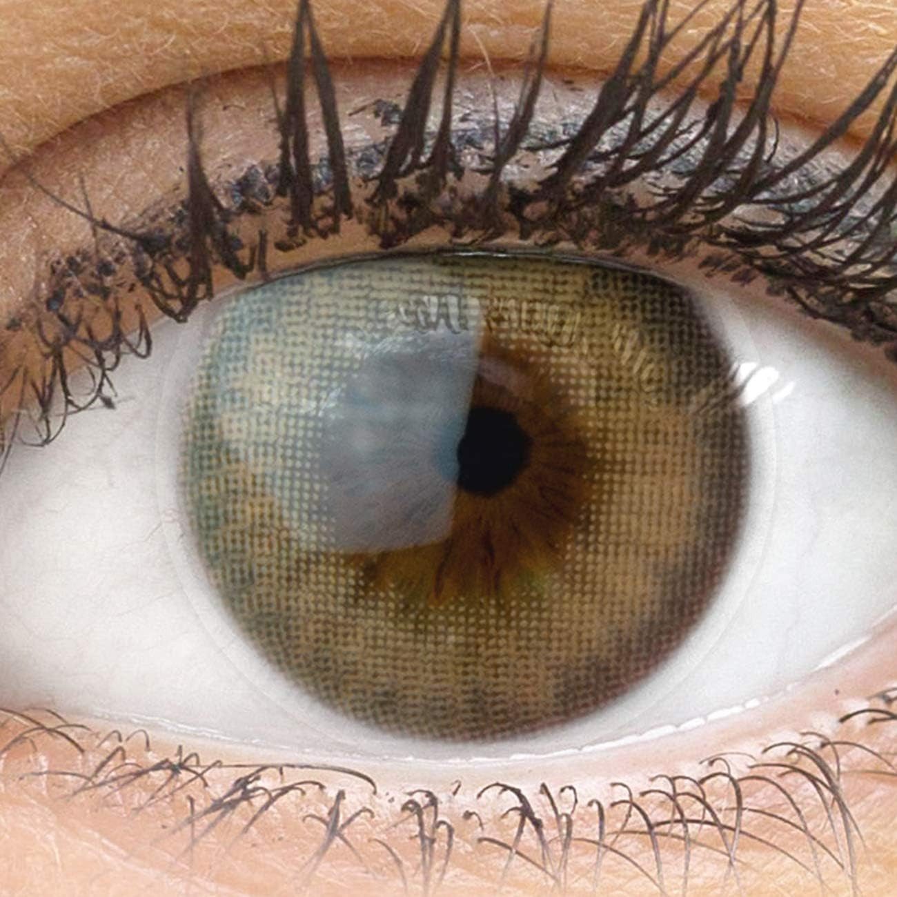 GLAMLENS Monatslinsen Sehr stark deckende und natürliche braune Linsen "Padua Beige"