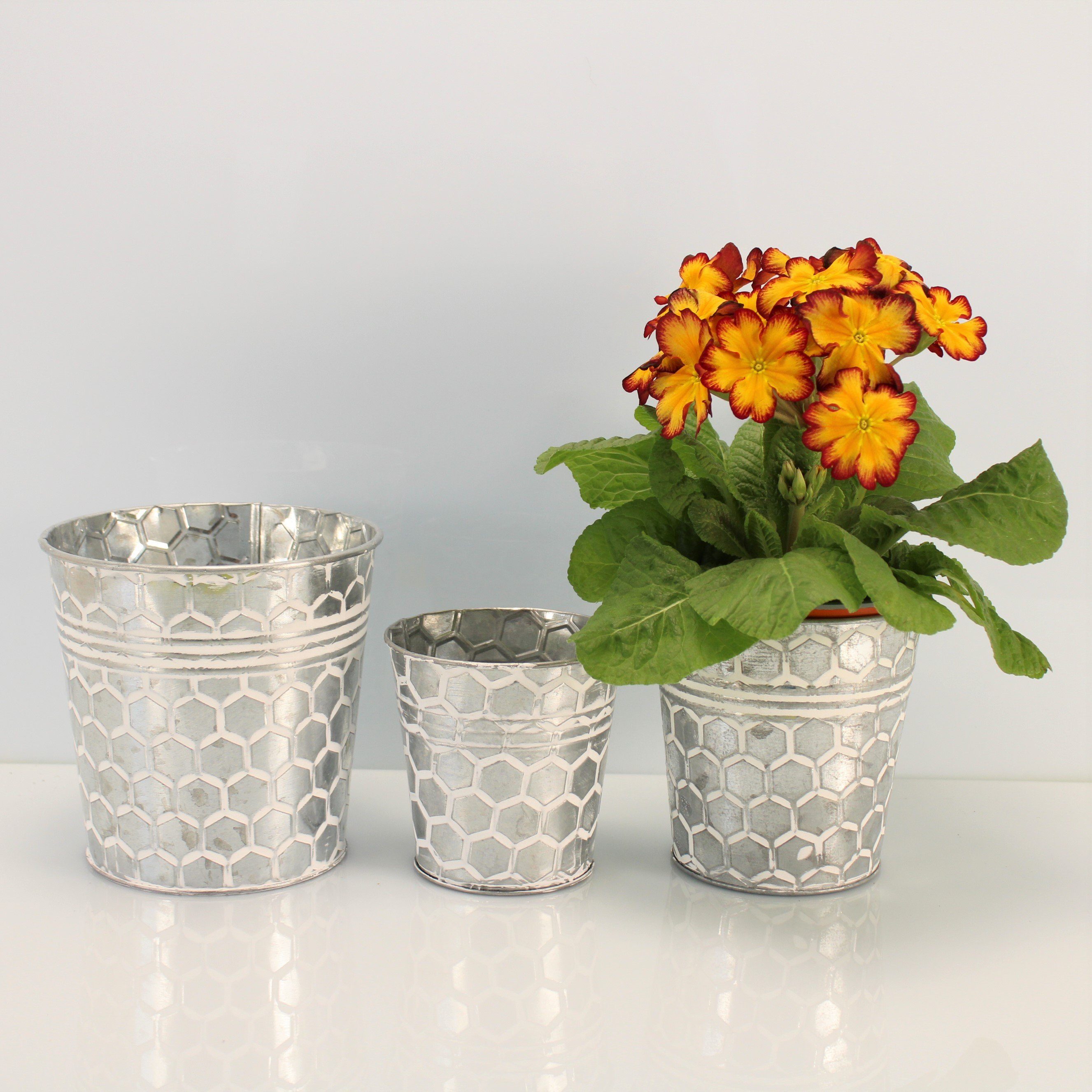 Online-Fuchs Blumentopf Runde silberne Blumentöpfe aus günstig online kaufen