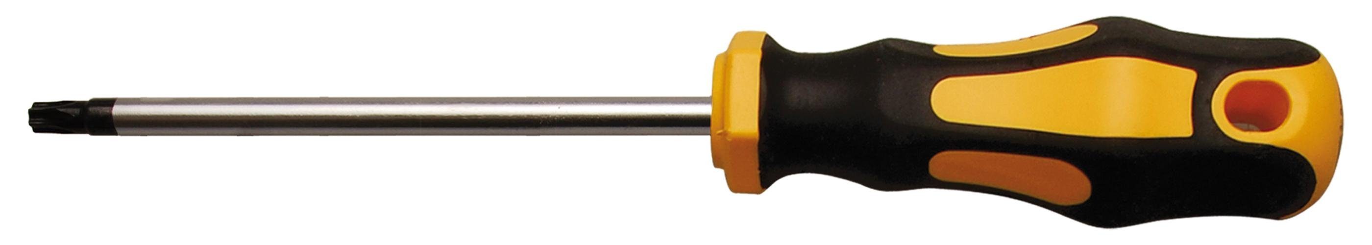 BGS technic Bit-Schraubendreher Schraubendreher, T-Profil (für Torx) T20, Klingenlänge 100 mm