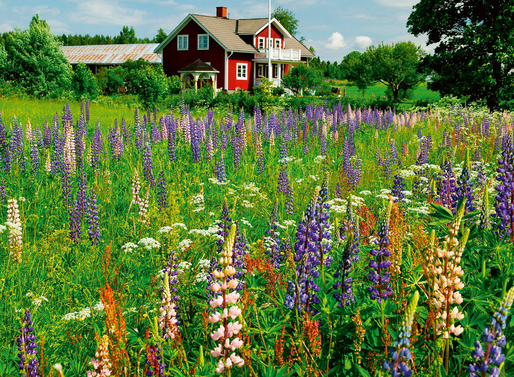 Ravensburger Puzzle Scandinavian Places, Bauernhof in günstig online kaufen