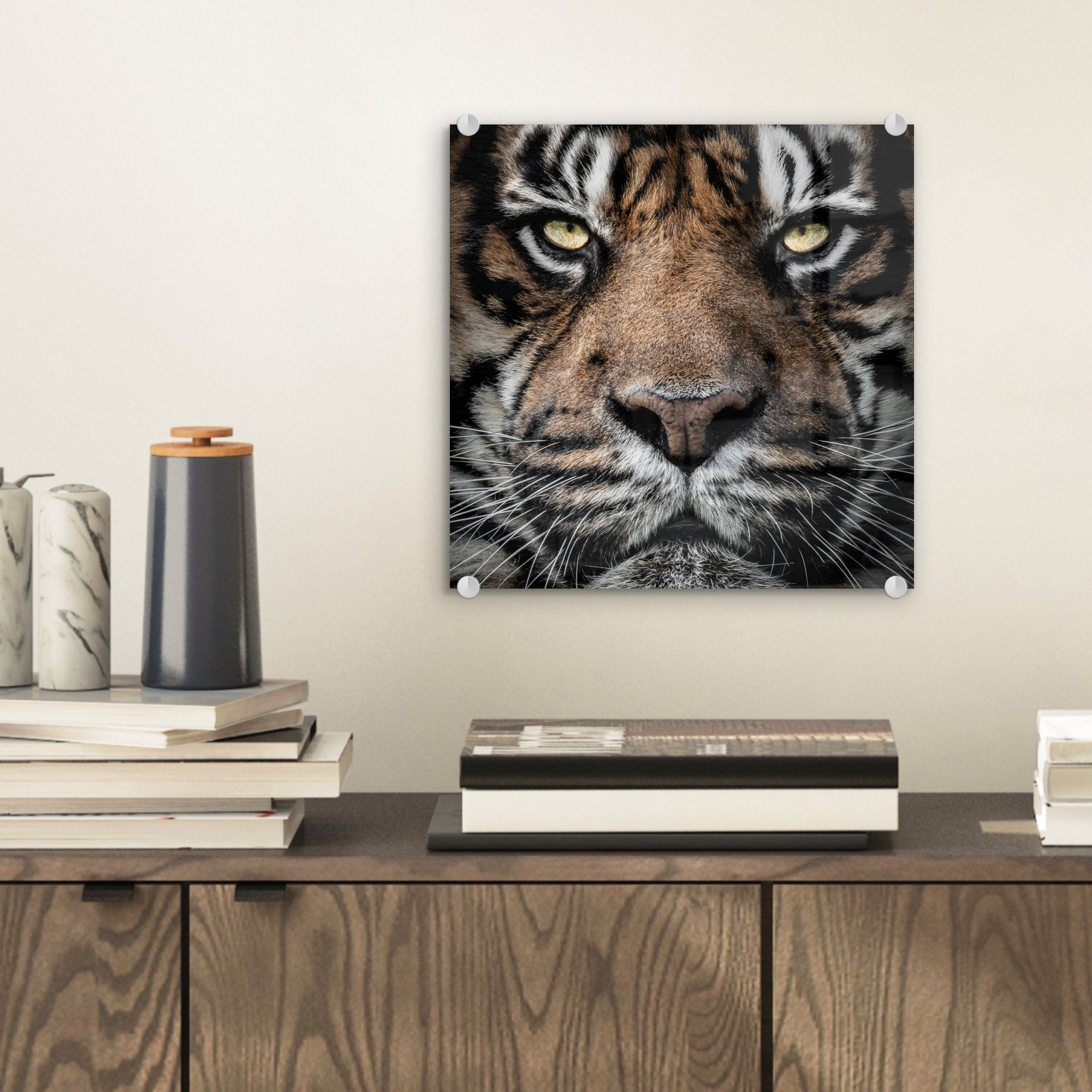 Porträt-Tiger - - Foto Wandbild Glas auf - Glas auf auf Bilder St), MuchoWow Acrylglasbild Hintergrund, (1 Glasbilder schwarzem Wanddekoration