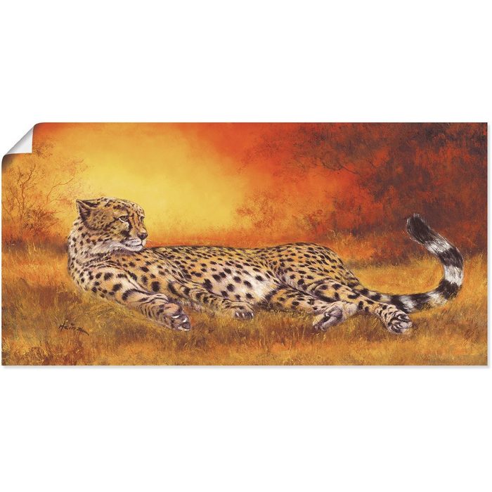 Artland Wandbild Gepard Geparden Bilder (1 St) als Alubild Leinwandbild Wandaufkleber oder Poster in versch. Größen