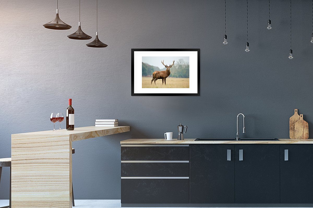 MuchoWow Poster Hirsche - Tiere - Geweihe, (1 St), mit Rahmen, Kunstdruck, Gerahmtes Poster, Schwarzem Bilderrahmen