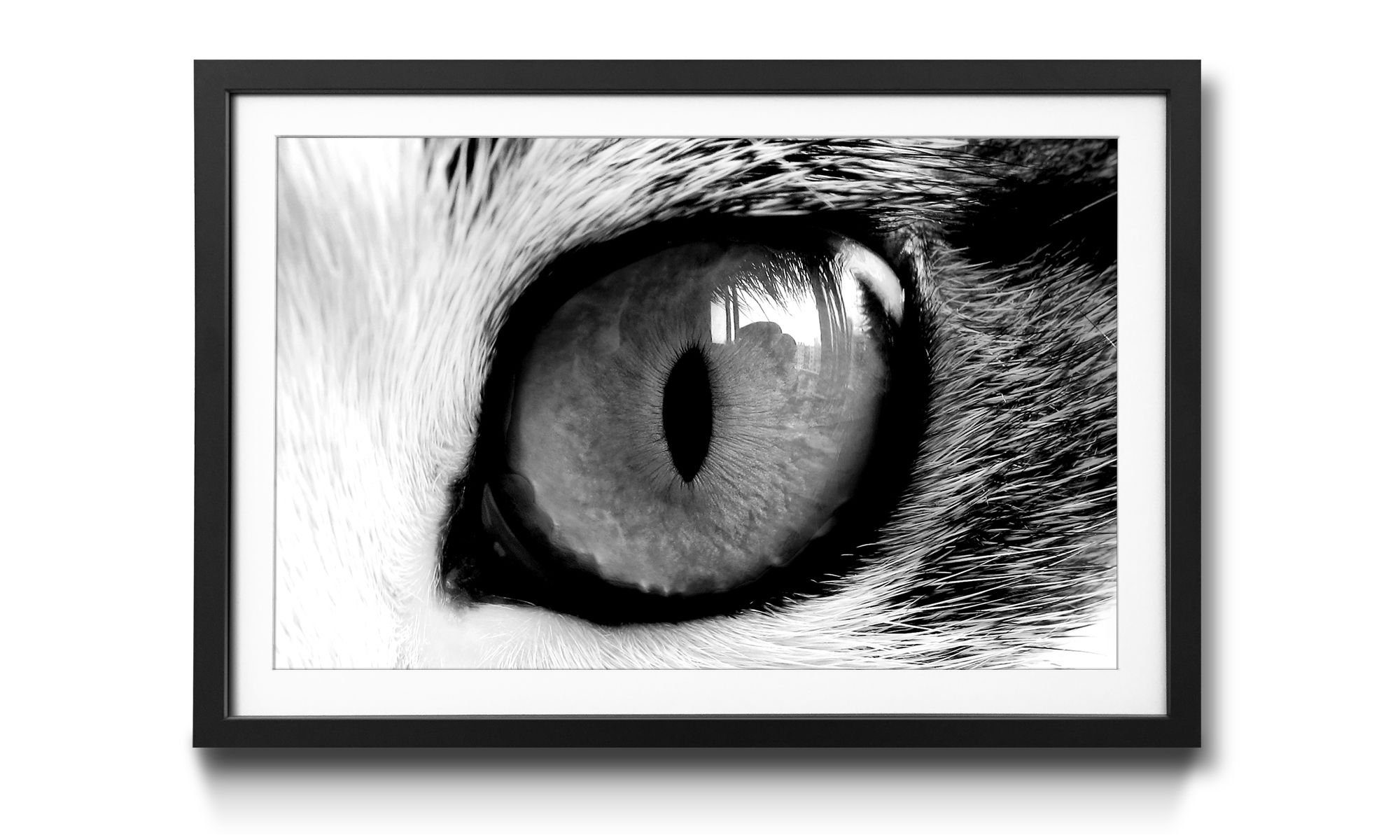 Wandbild, erhältlich Cats Green, WandbilderXXL 4 Größen Tiere, in Eye Kunstdruck