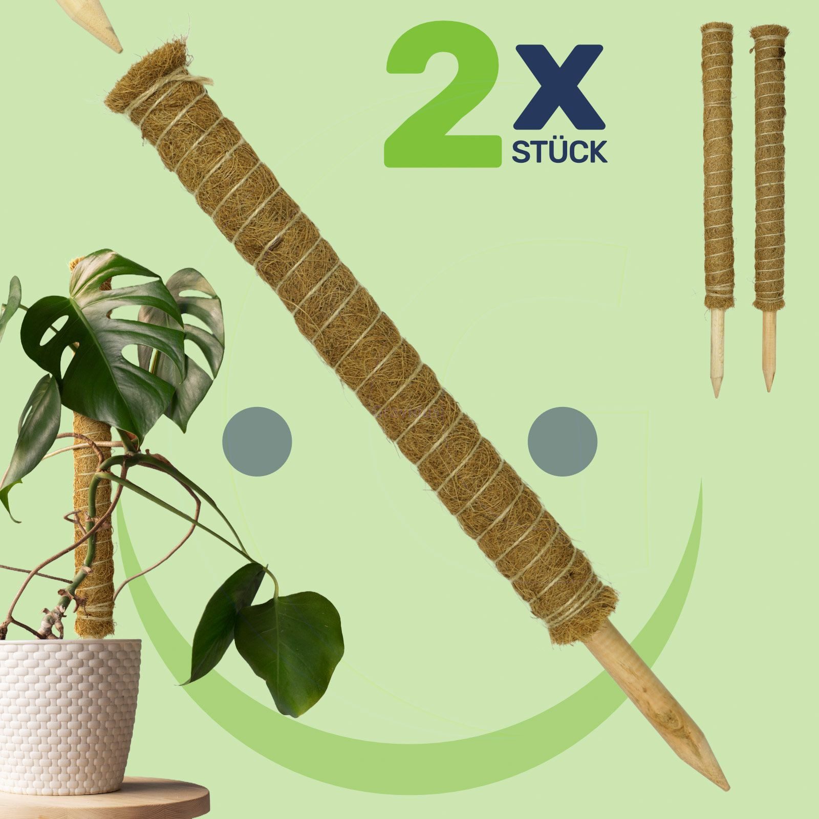 Gravidus Rankhilfe Erweiterbare Pflanzenstütze mit Kokosfilz – Rankhilfe 60 günstig online kaufen