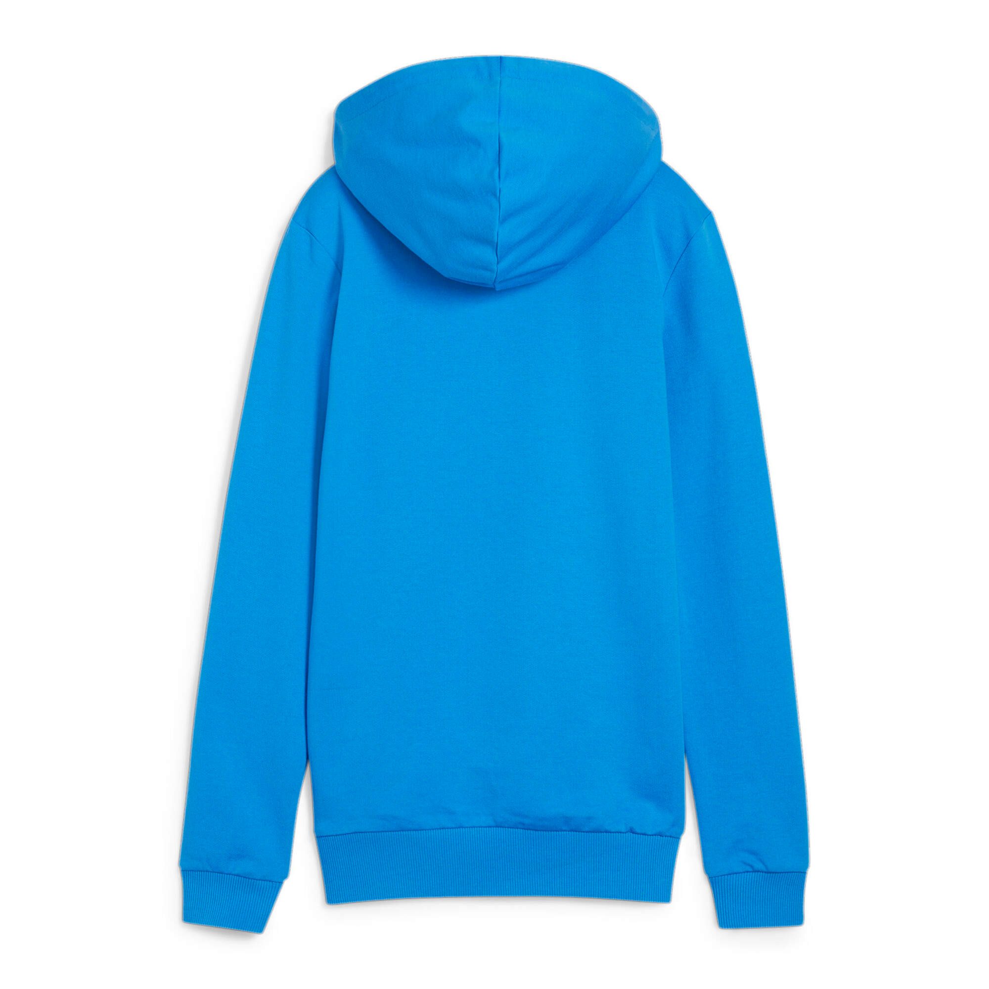 PUMA Kapuzenpullover Puma Damen Kapuzenpullover teamGOAL Casuals Hoody Wmn 658621