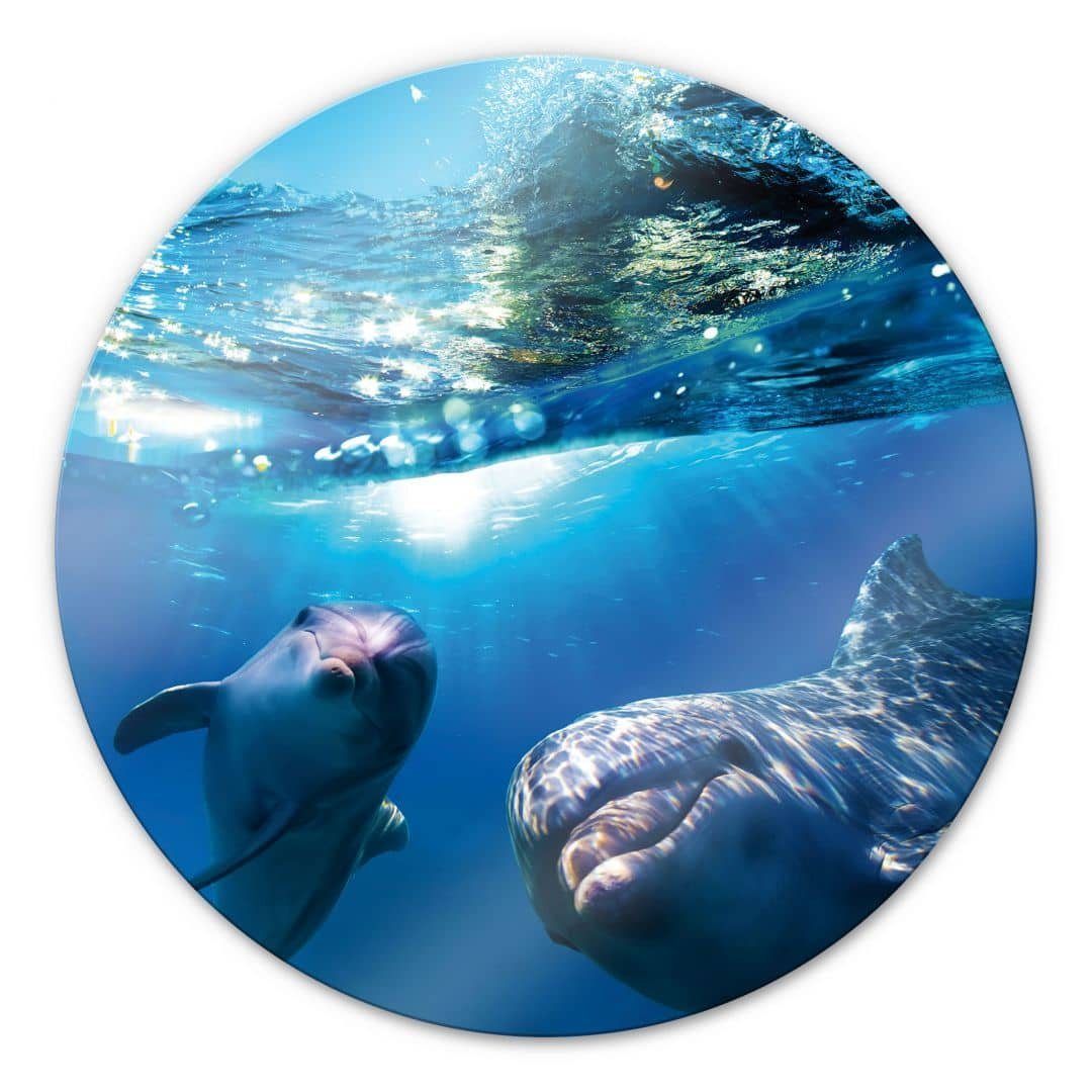 K&L Wall Art Glasbild Glas Wandbild Rund Glasbild bedruckt Dolphins Badezimmer Delfine, Wandschutz Deko Bilder