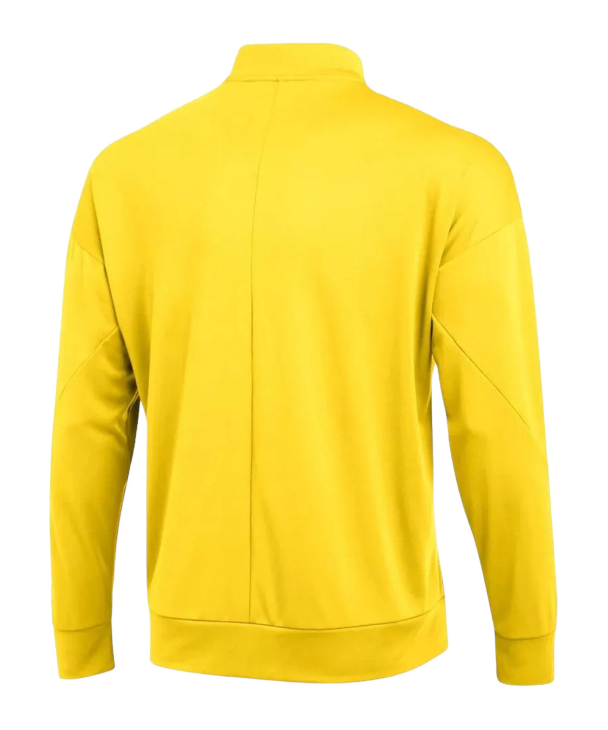 Nike Sweatjacke Nike Performance Academy Pro 24 Trainingsjacke Polyester