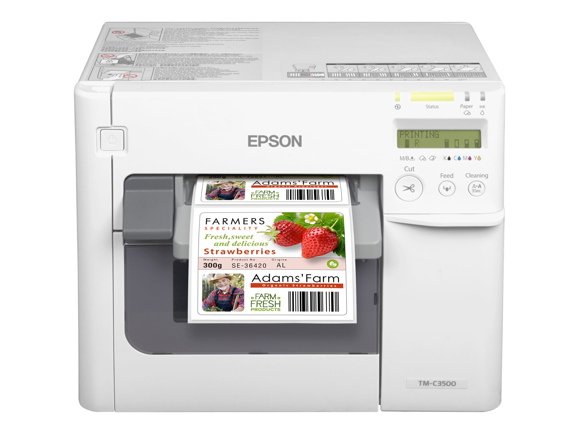 Epson Scanner