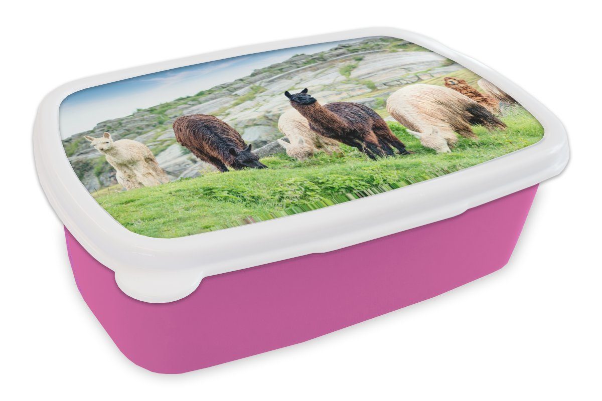 MuchoWow Lunchbox Alpaka - Berg - Gras, Kunststoff, (2-tlg), Brotbox für Erwachsene, Brotdose Kinder, Snackbox, Mädchen, Kunststoff rosa