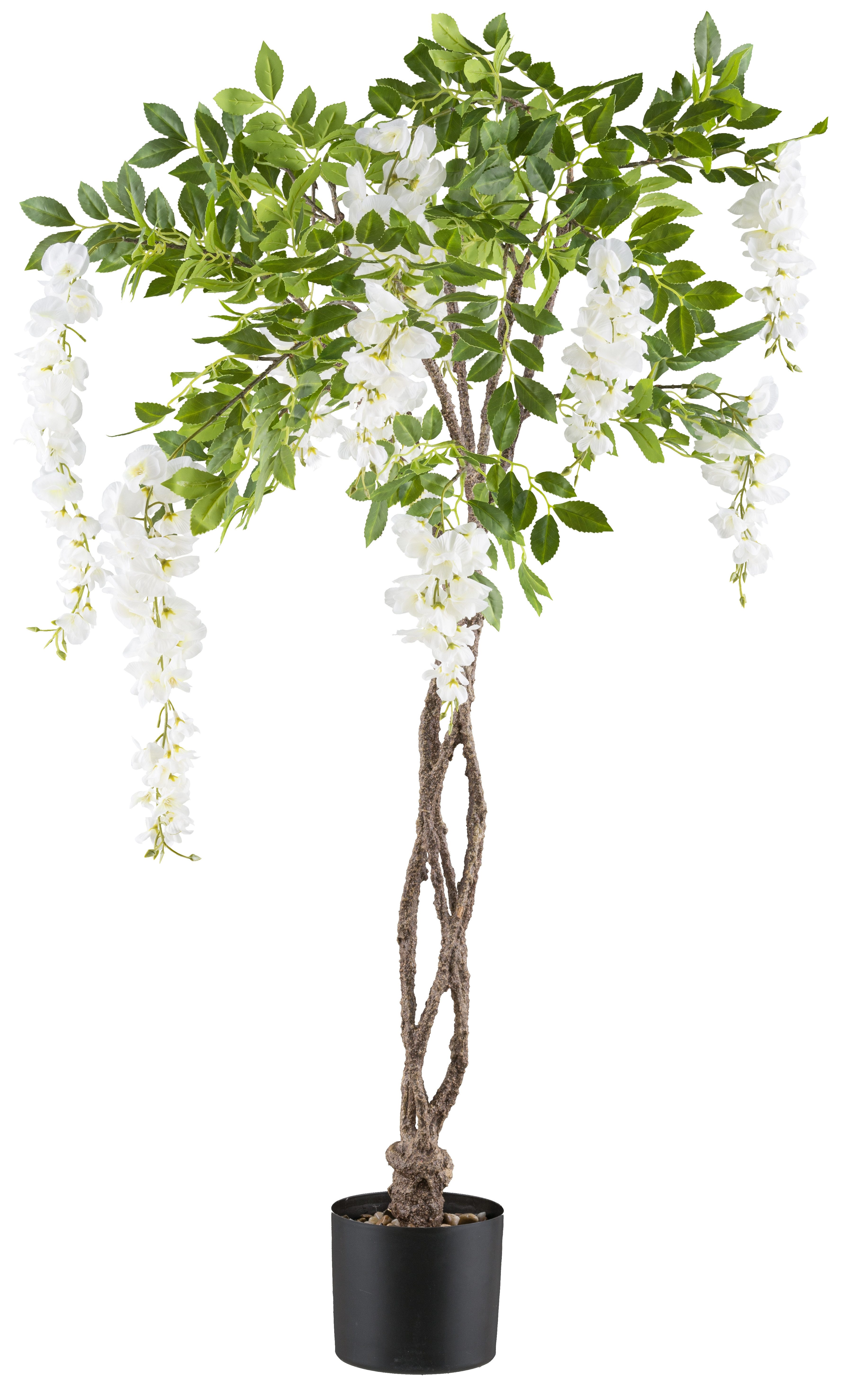 Kunstbaum Weißer Blauregen, Creativ green, Höhe 115 cm, mit geflochtenem Stamm