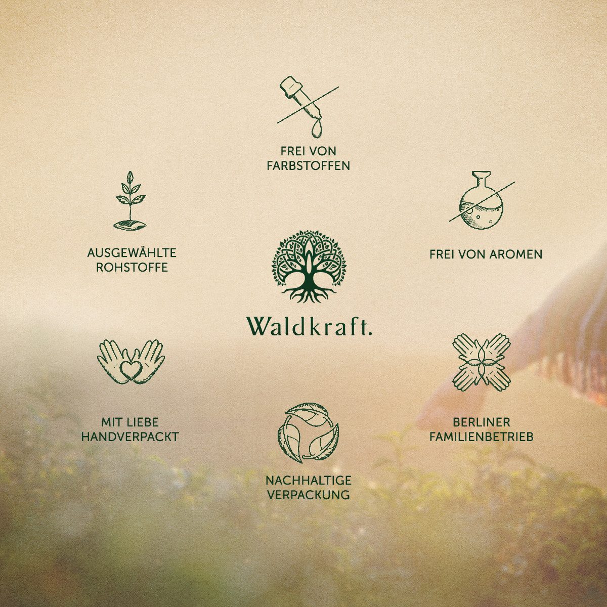 Waldkraft. Erdling Borax + MSM Kapseln, Organischer Schwefel in pharmazeutischer Reinheit à 120 St., 78 g