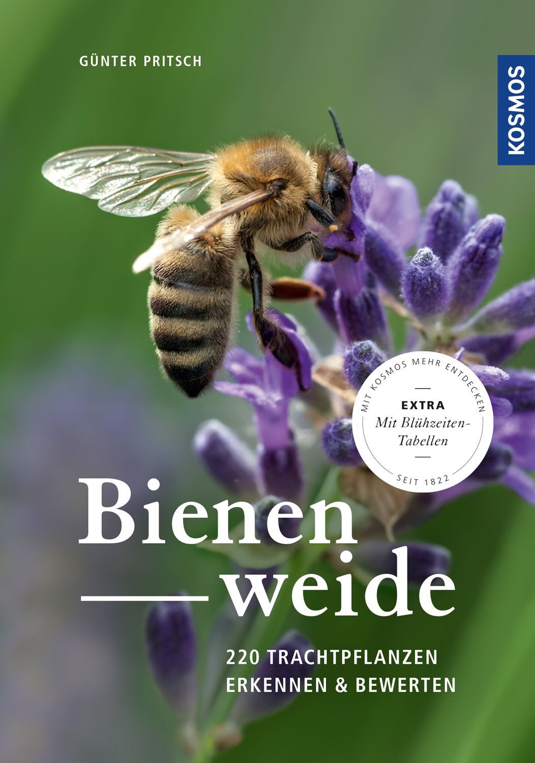 Bienenweide / Günter Pritsch