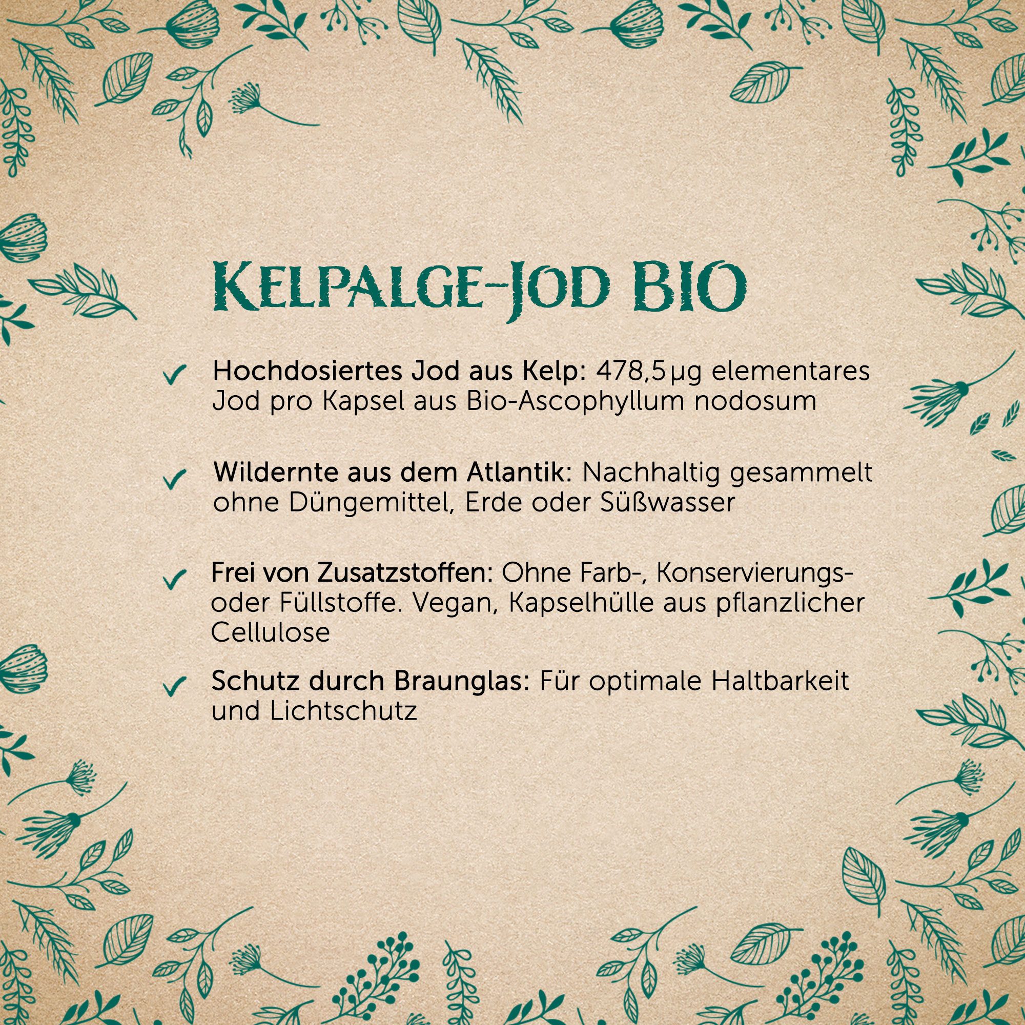 Waldkraft. Erdling BIO Kelpalgen-Jod Kapseln, Hochdosiert mit 478,5 µg Jod – Bio-zertifiziert & Vegan à 120 St., 78 g