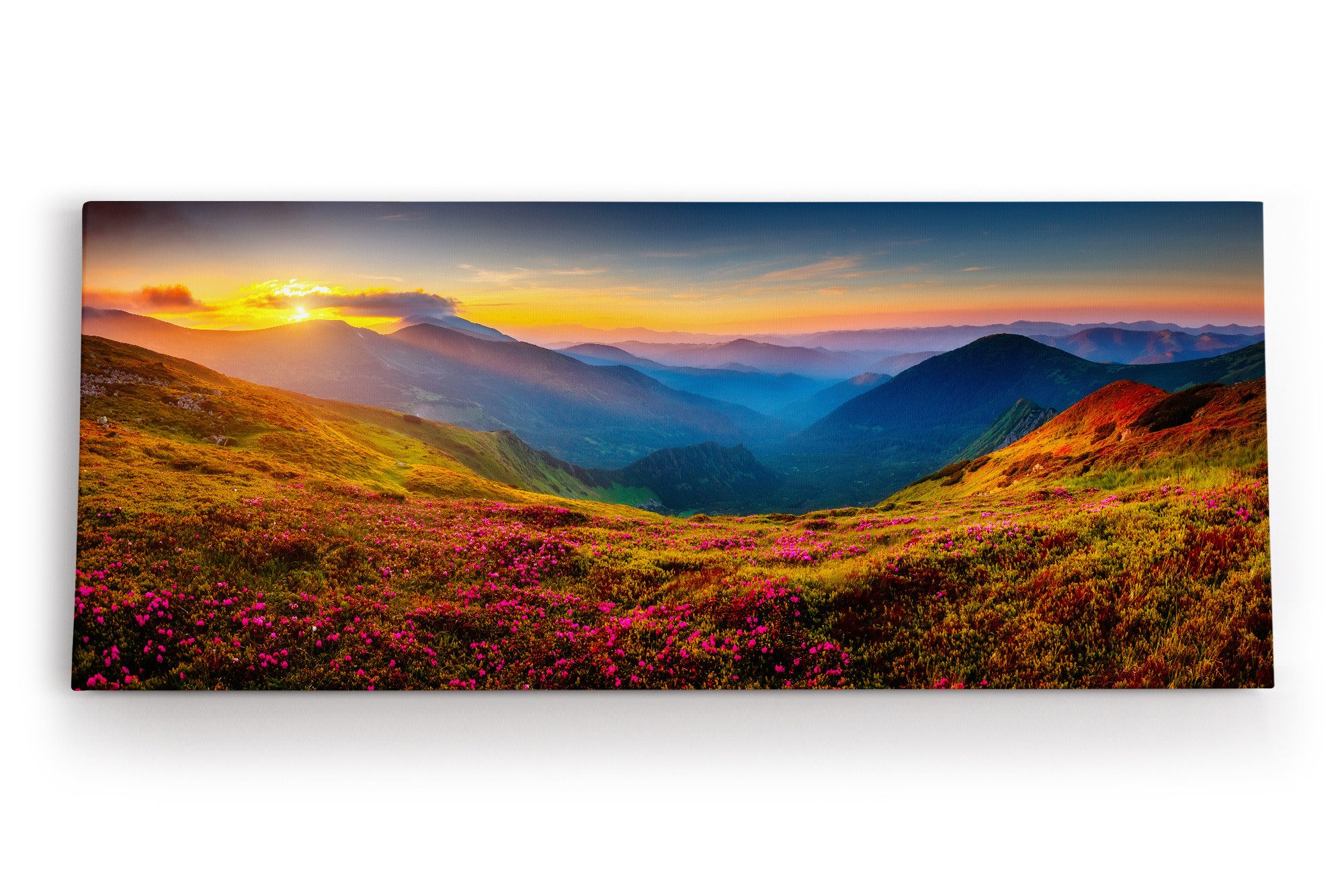 Leinwandbild Berglandschaft Alpen Wiese Sommerwiese Sonnenuntergang