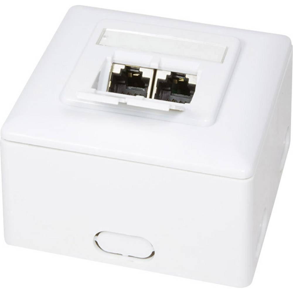 Cat 6 Ral 9003 AP-Netzwerkdose Netzwerk-Adapter