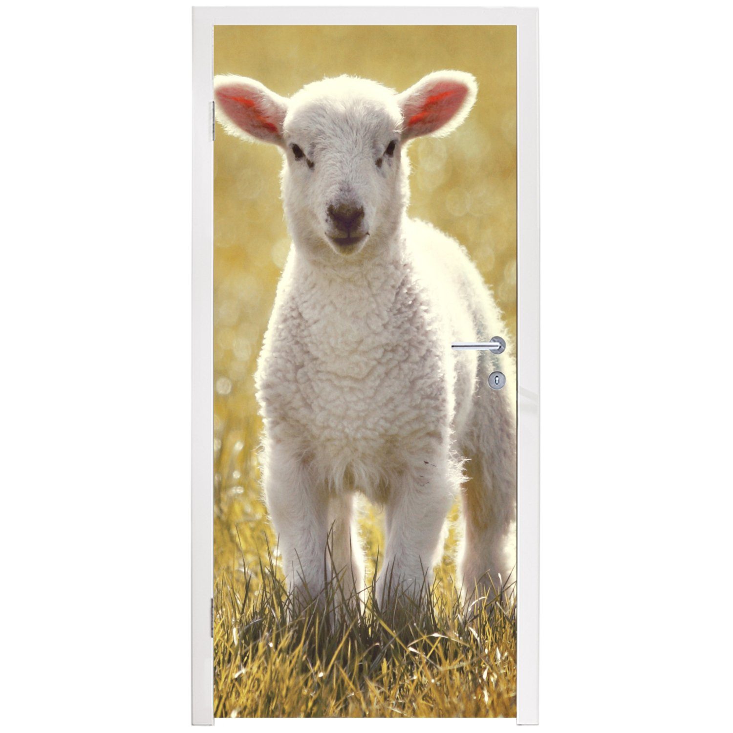 MuchoWow Türtapete Schafe - Gras St), cm Matt, bedruckt, (1 Türaufkleber, für Tür, - Sonne, Fototapete 75x205