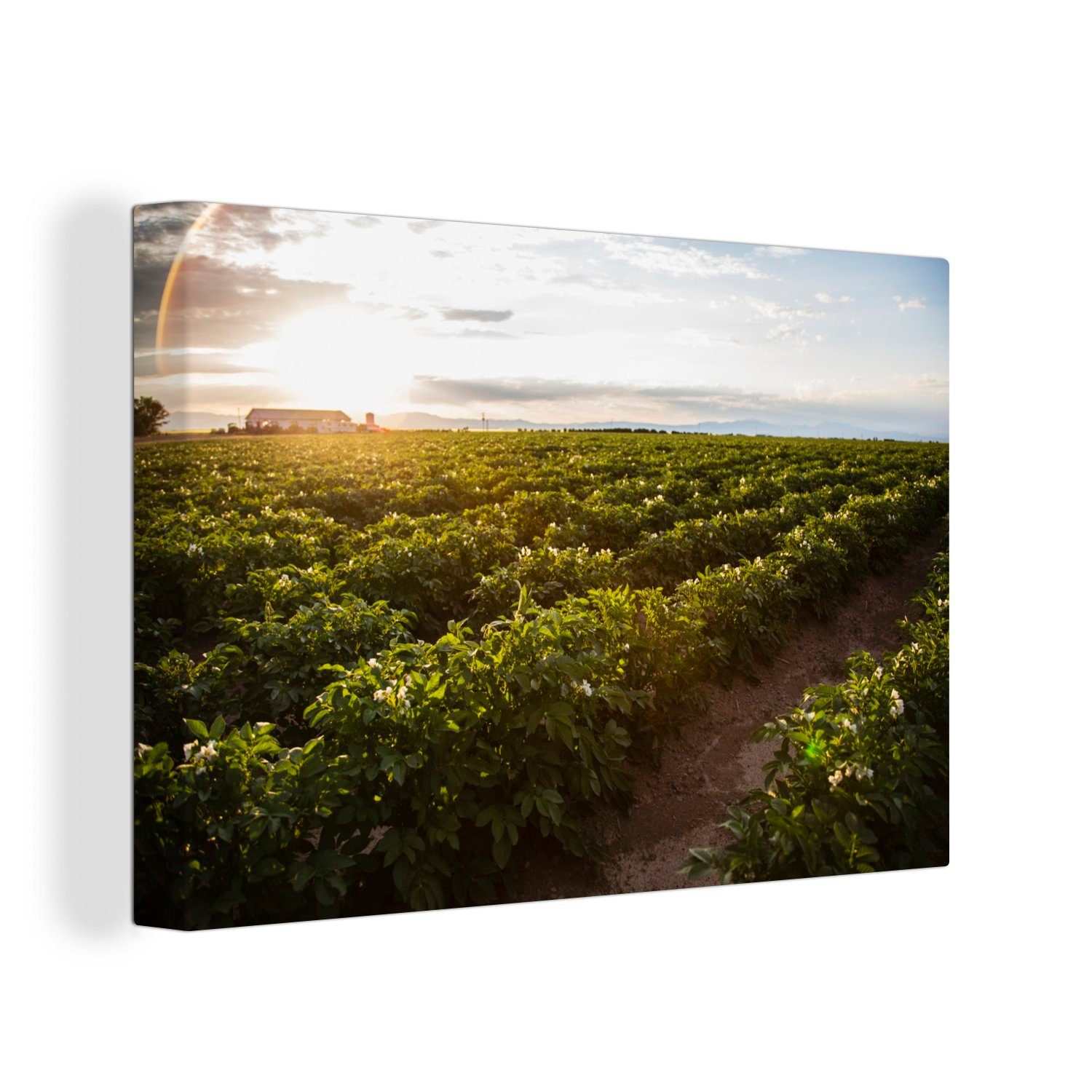 OneMillionCanvasses® Leinwandbild Luft - Sonne - Grün, (1 St), Wandbild Leinwandbilder, Aufhängefertig, Wanddeko, 30x20 cm