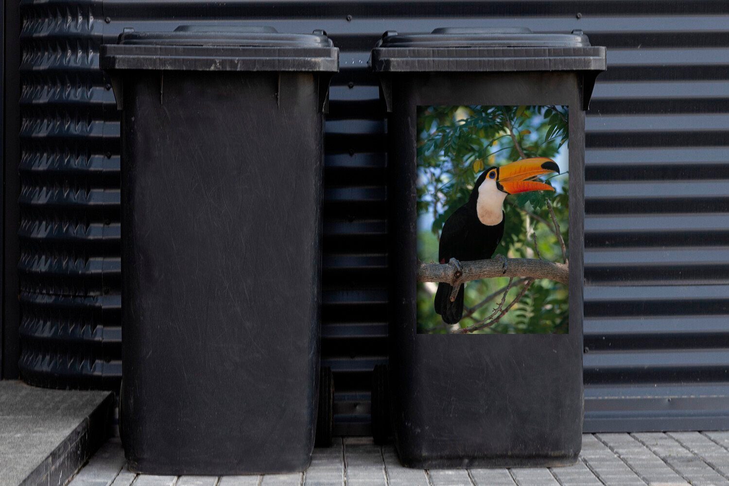 (1 Wandsticker Mülltonne, Verspielter auf Tukan in Bäumen MuchoWow Ast Container, St), den Sticker, Mülleimer-aufkleber, einem Abfalbehälter