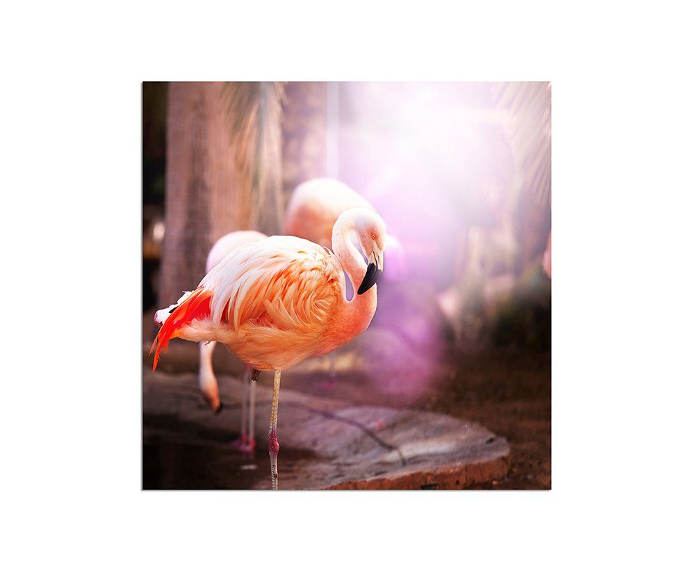 Sinus Art Leinwandbild 80x80cm Flamingo Vogel pink
