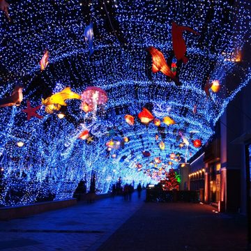 Clanmacy Lichterschlauch 10-50M lichtschlauch mit LEDs Beleuchtung Blau Party Garten Außen Deko Weihnachtsdeko, Wasserdicht