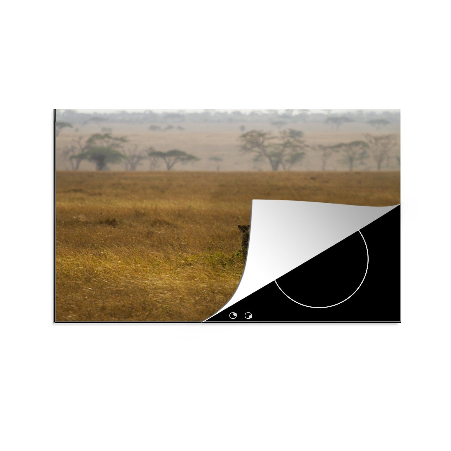 Herdblende-/Abdeckplatte der Savanne, für Gepard küche, MuchoWow Induktionskochfeld die in Vinyl, Schutz tlg), Ceranfeldabdeckung 81x52 cm, (1
