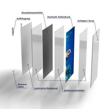 DEQORI Glasbild 'Meeresschildkröte nah', 'Meeresschildkröte nah', Glas Wandbild Bild schwebend modern