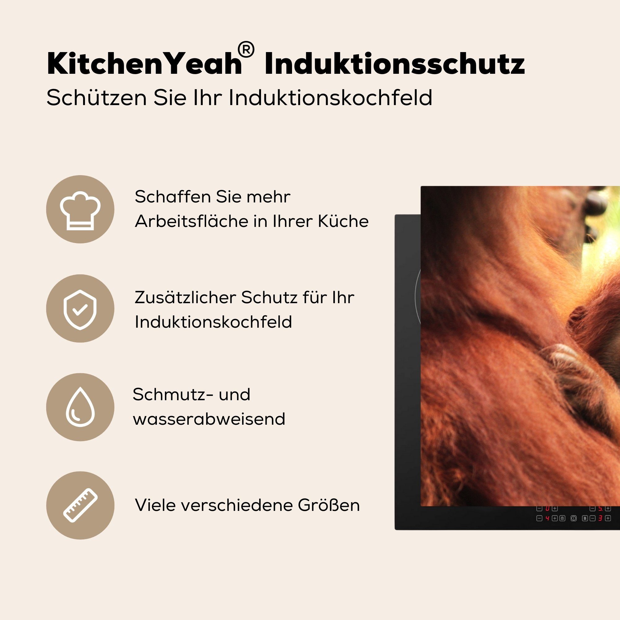 MuchoWow Herdblende-/Abdeckplatte Bild eines jungen 81x52 für Induktionskochfeld (1 tlg), Sumatra-Orang-Utan-Affen, Vinyl, Schutz küche, Ceranfeldabdeckung cm, die