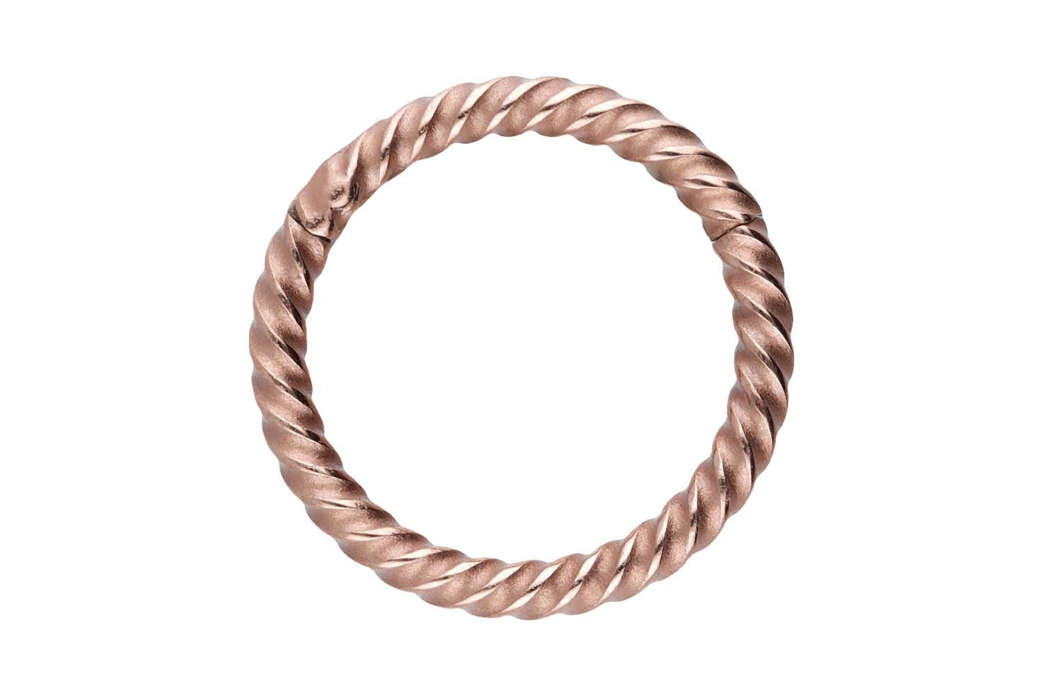 PIERCINGLINE Nasenpiercing Chirurgenstahl Segmentring Clicker GEDREHT Ohrpi günstig online kaufen