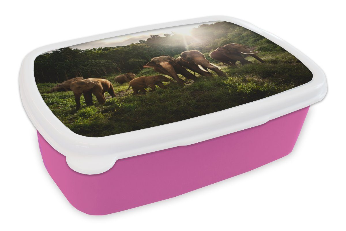 MuchoWow Lunchbox Wald - Elefanten - Licht, Kunststoff, (2-tlg), Brotbox für Erwachsene, Brotdose Kinder, Snackbox, Mädchen, Kunststoff rosa