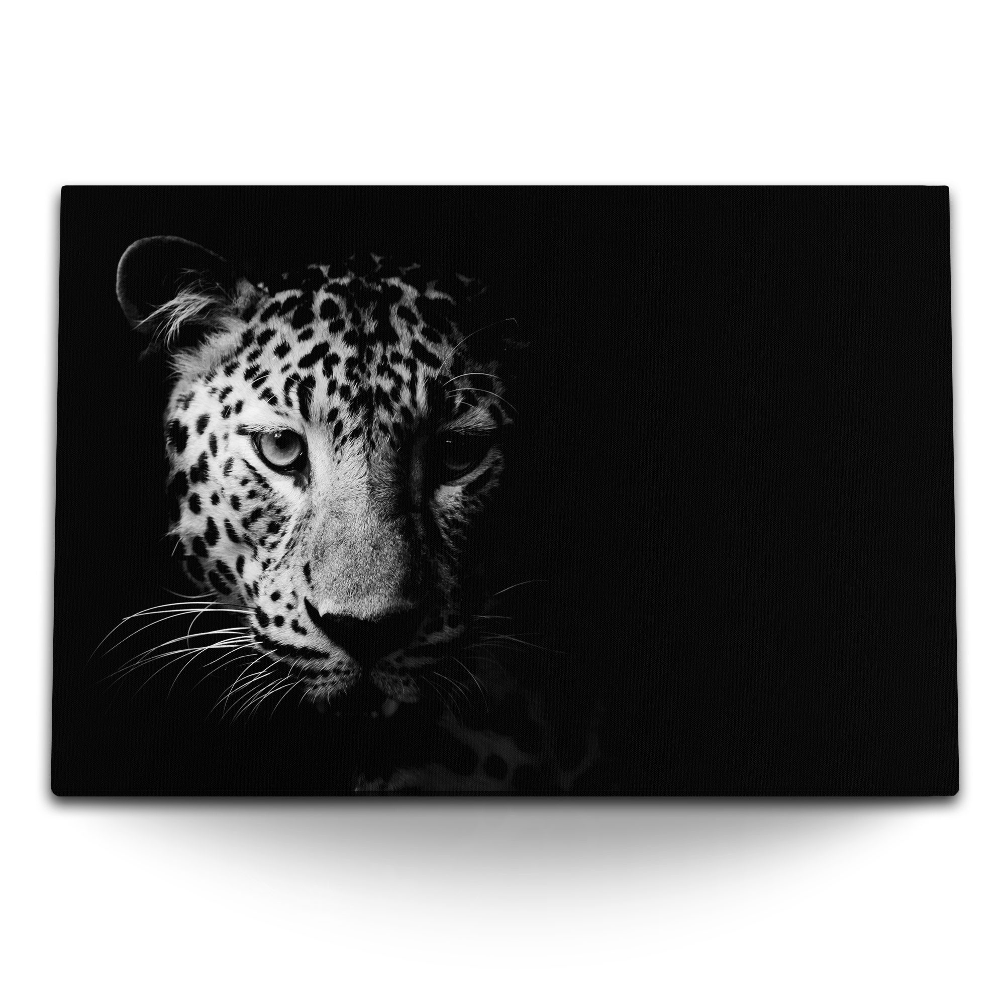 Leinwandbild 120x80cm Wandbild auf Leinwand Schwarz Weiß Tierfotografie Jaguar Raub