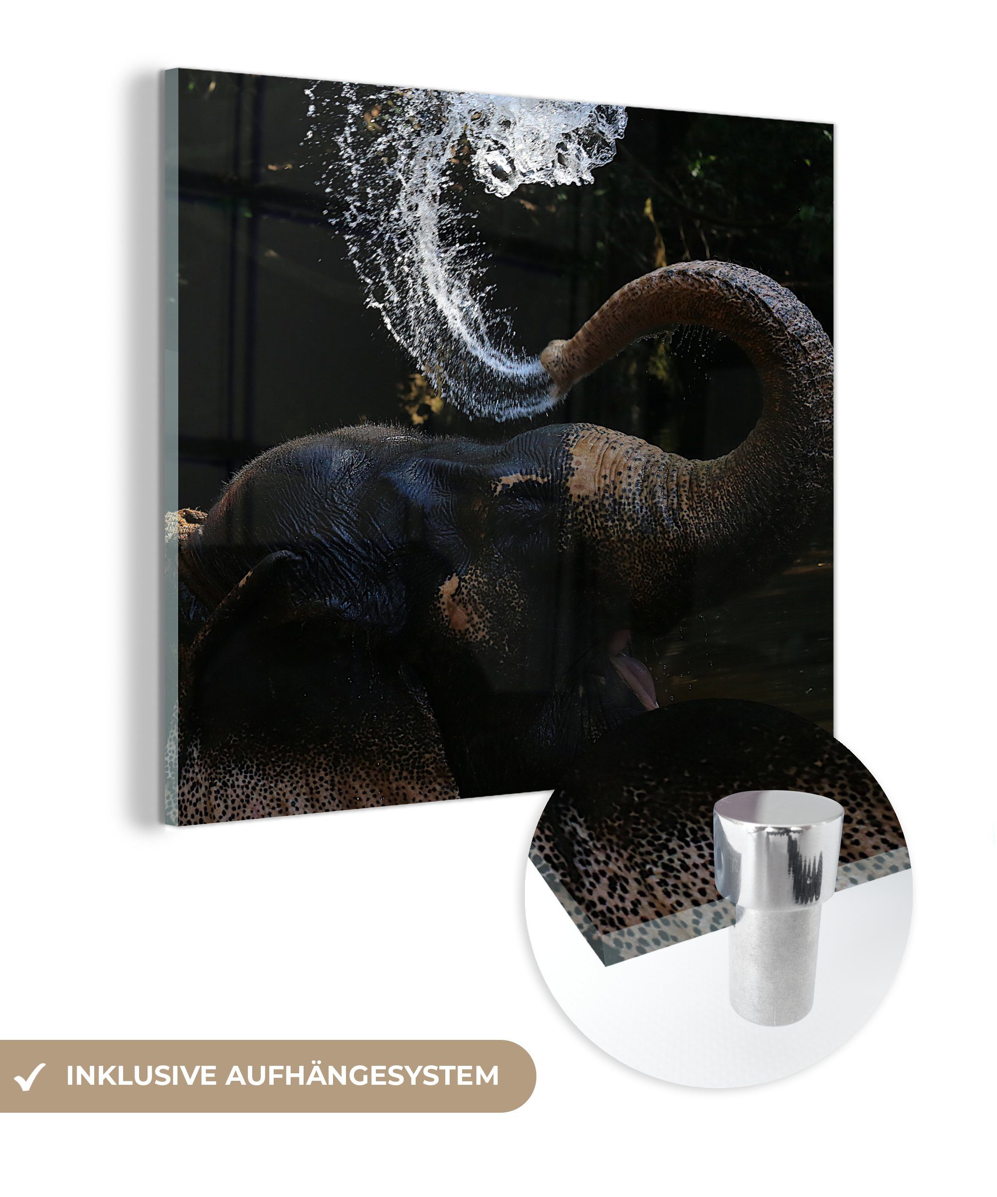 MuchoWow St), Wandbild Wanddekoration - Tiere - (1 Glas Elefant Glasbilder Wasser Acrylglasbild Natur, Rüssel - - - - Bilder Glas Foto auf auf -