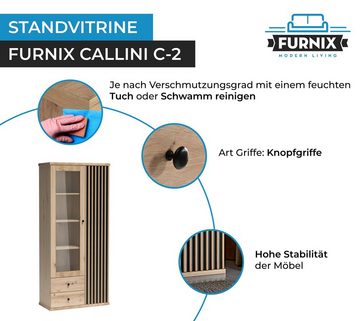 Furnix Standvitrine CALLINI C-2 mit 2 Schubladen 1 Glastür 1 Holztür Lamellen Design 8 Fächer, B86,4 x H191 x T40,6 cm
