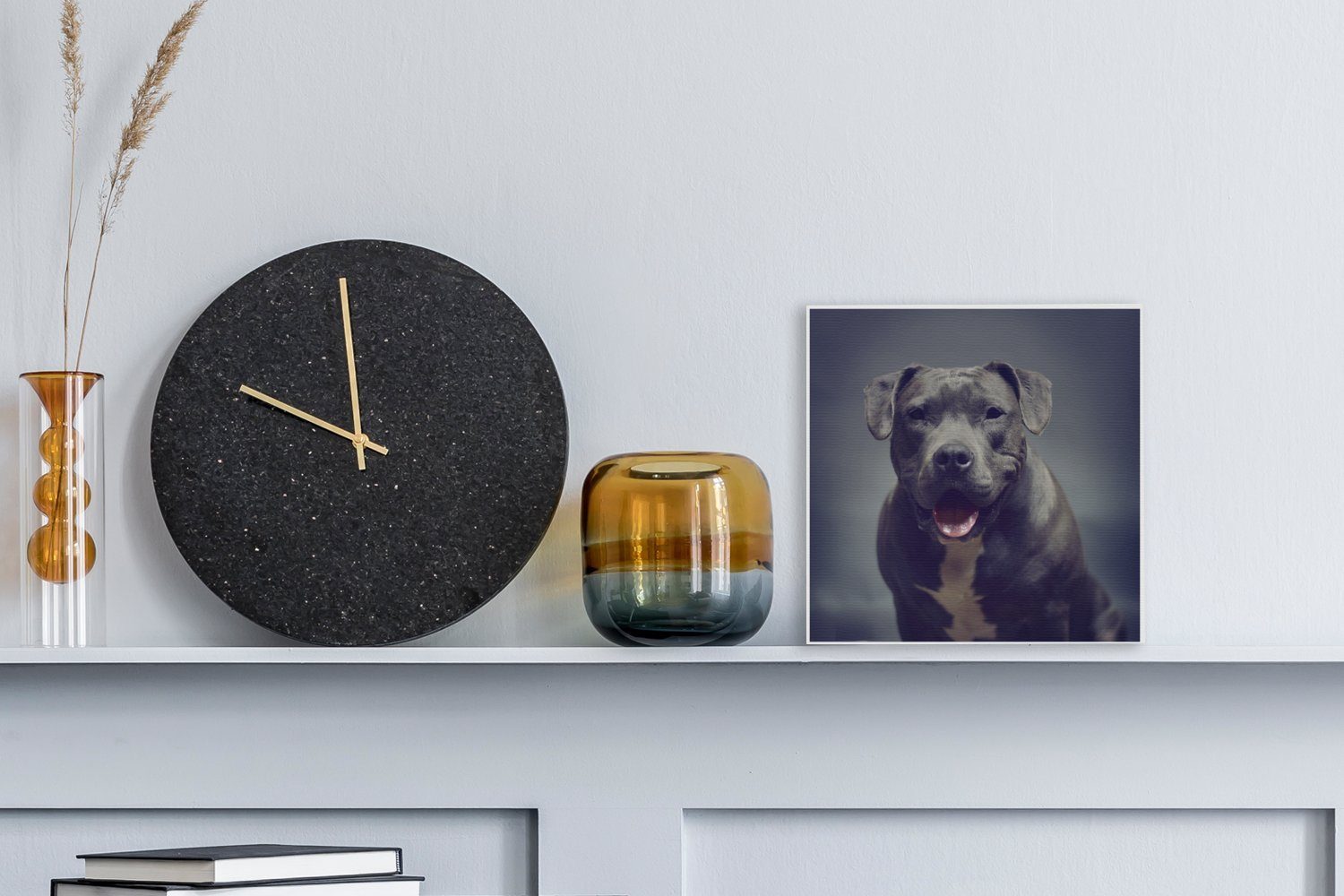 Terrier Grauer lächelt Wohnzimmer die Staffordshire OneMillionCanvasses® Leinwand Schlafzimmer American St), (1 Bilder in Leinwandbild Kamera, für
