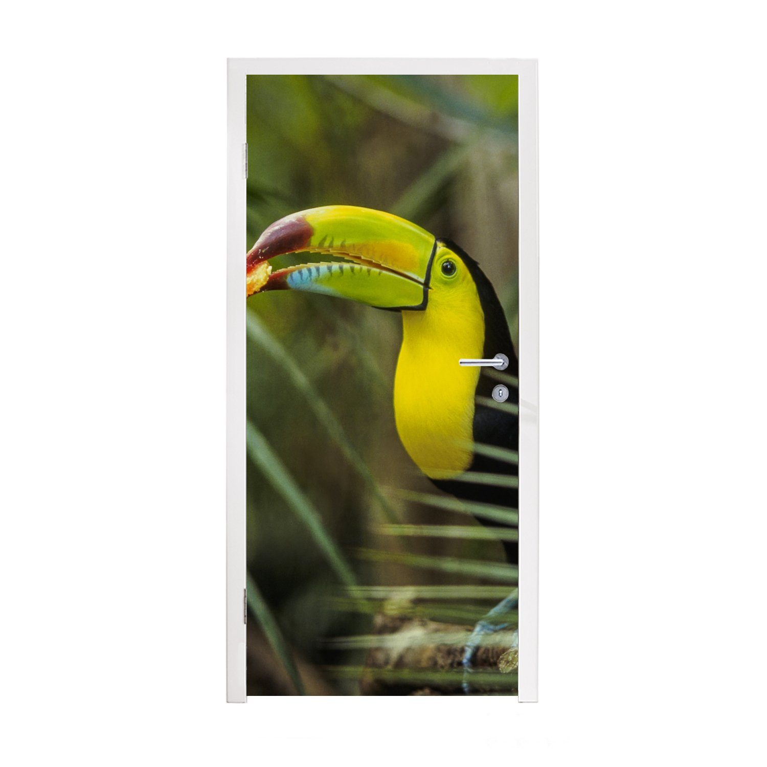 MuchoWow Türtapete Tukan - Blätter - Zweig, Matt, bedruckt, (1 St), Fototapete für Tür, Türaufkleber, 75x205 cm