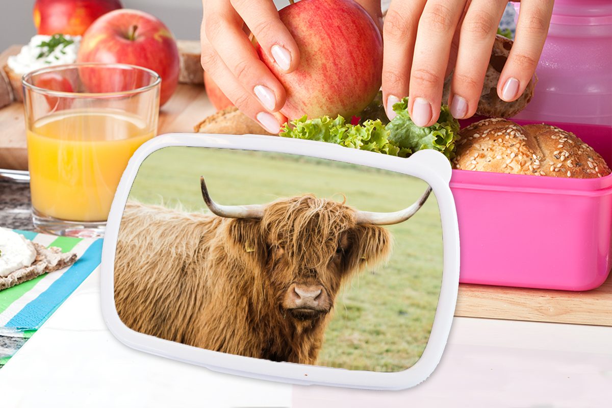 - Highlander Brotdose für Horn Lunchbox Snackbox, Kunststoff Mädchen, Schottischer rosa - Erwachsene, MuchoWow Kunststoff, (2-tlg), Kinder, Gras, Brotbox