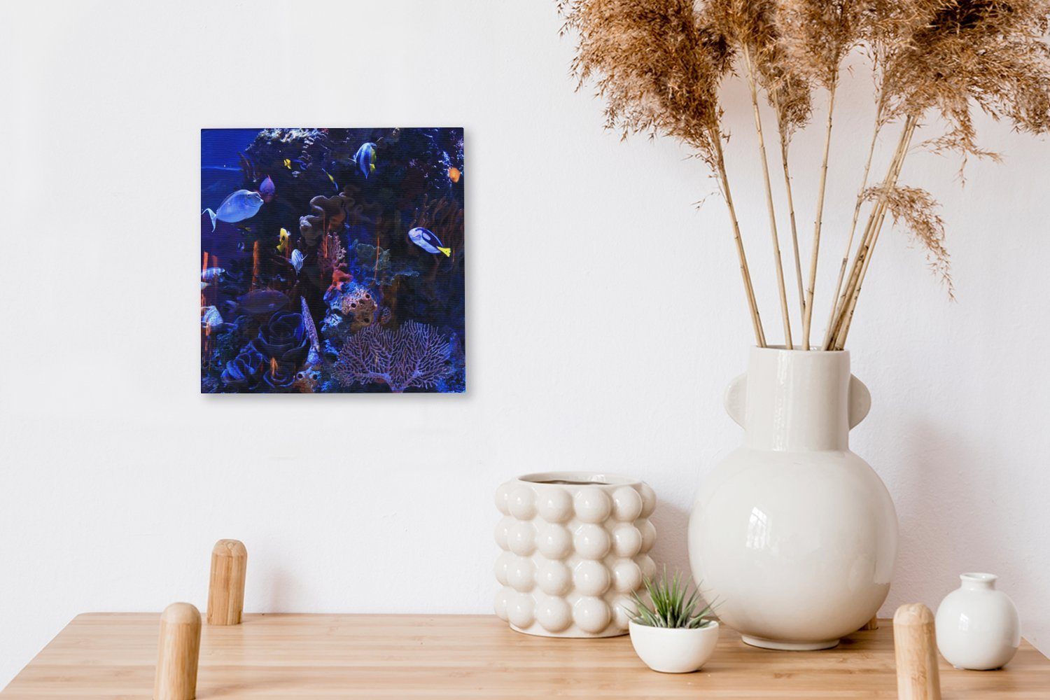 Schlafzimmer Bilder OneMillionCanvasses® Leinwandbild Tropisches für Meerwasseraquarium, St), Wohnzimmer Leinwand (1