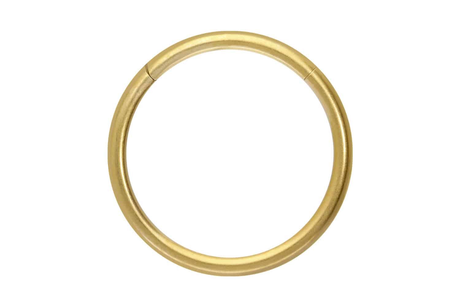 PIERCINGLINE Nasenpiercing Titan Segmentring Clicker MATT Ohrpiercing Septu günstig online kaufen