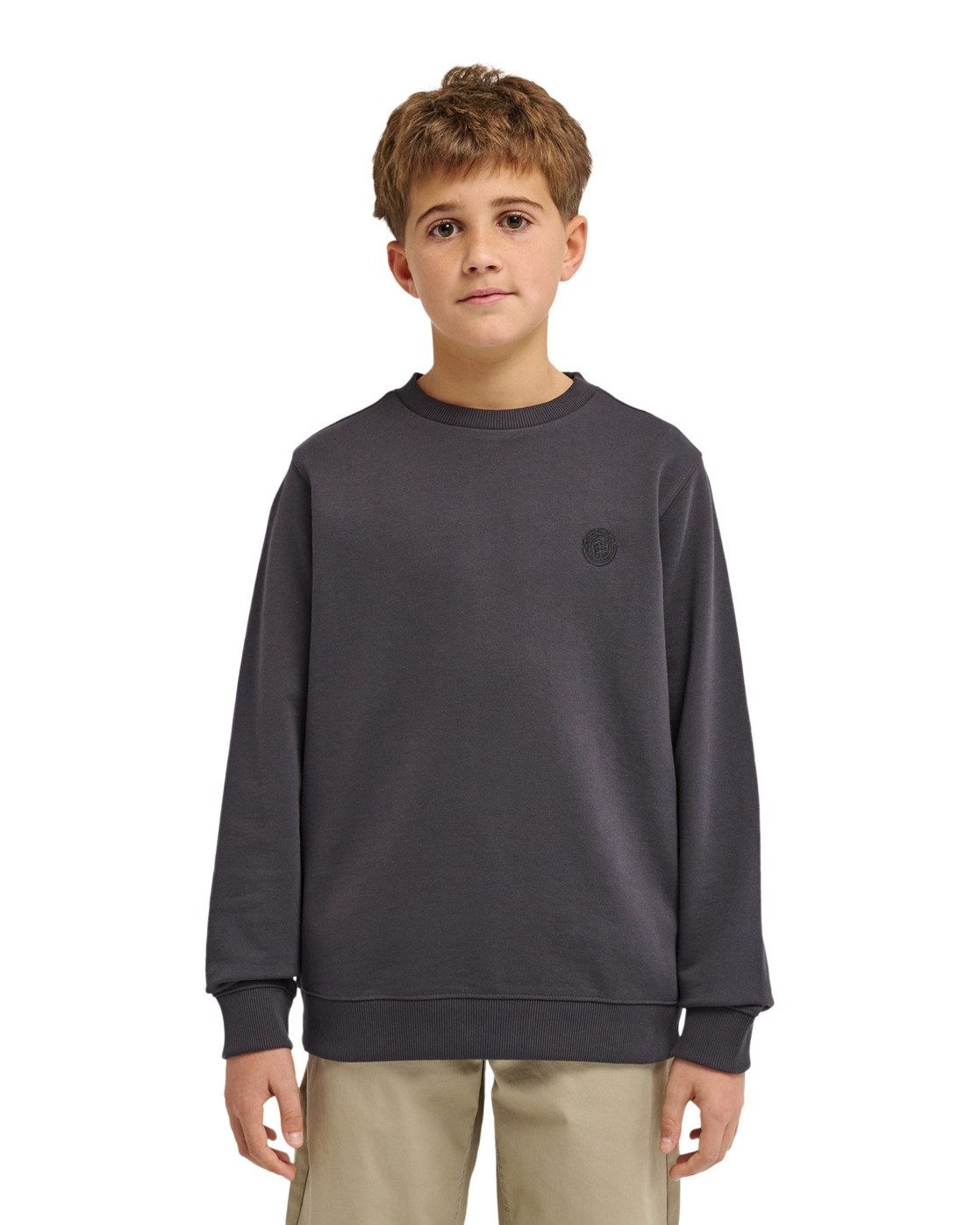 Element Sweatshirt Lakeside